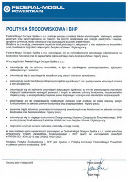 BHP I Ochrona   Polityka Srodowiskowa